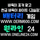 몰디브게이바둑이