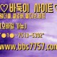바둑이사이트1