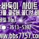 모바일바둑이1